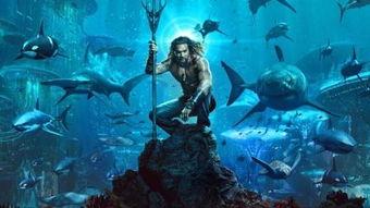 欧美式开船视频大全,畅游海洋的壮丽画卷