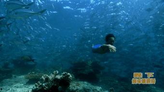 欧美深海捕鱼视频大全,欧美捕鱼视频大全精彩回顾