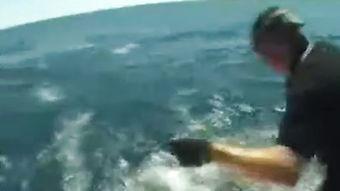 欧美深海捕鱼视频大全,欧美捕鱼视频大全精彩回顾