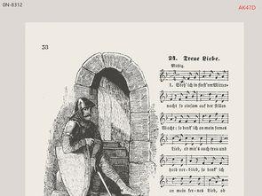 欧美乡村音乐背景视频,穿越时光的旋律之旅