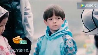 欧美懂事孩子视频,孩子成长中的温馨瞬间与教育智慧