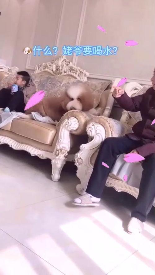 欧美懂事孩子视频,孩子成长中的温馨瞬间与教育智慧