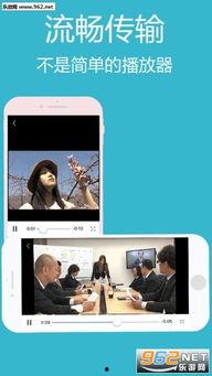 手机欧美成免费视频,畅享海量娱乐新体验