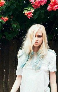 欧美q在在线视频,探索虚拟世界的无限魅力