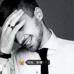 欧美q在在线视频,探索虚拟世界的无限魅力