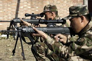 欧美加长猎鹰枪视频,性能卓越，视觉盛宴