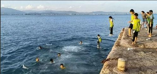 欧美跳海游泳视频大全,惊险刺激！欧美跳海游泳视频大全集锦