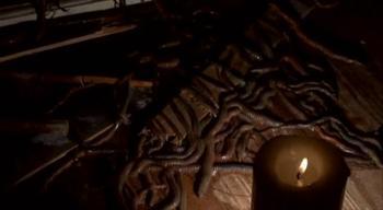 欧美惊悚虫子视频大全,欧美惊悚虫子视频大盘点